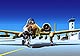 ARMOUR - B11B919 - A-10 Warthog "Peanut 