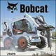 MBI - 145698AC - 2009 Calendar - 