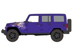 AUTO WORLD AWSP242-B
