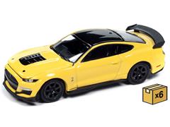 AWSP171-A-CASE - Auto World 2021 Ford Mustang Shelby GT500